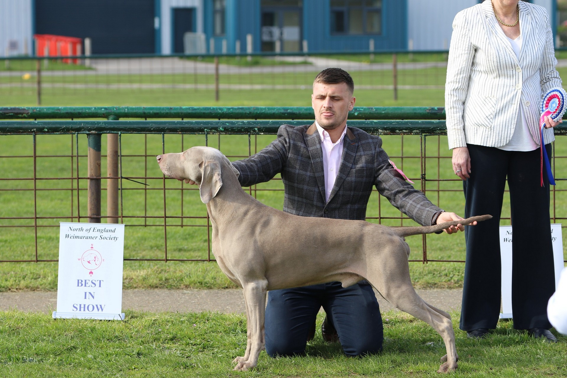 Championship Show Best in Show