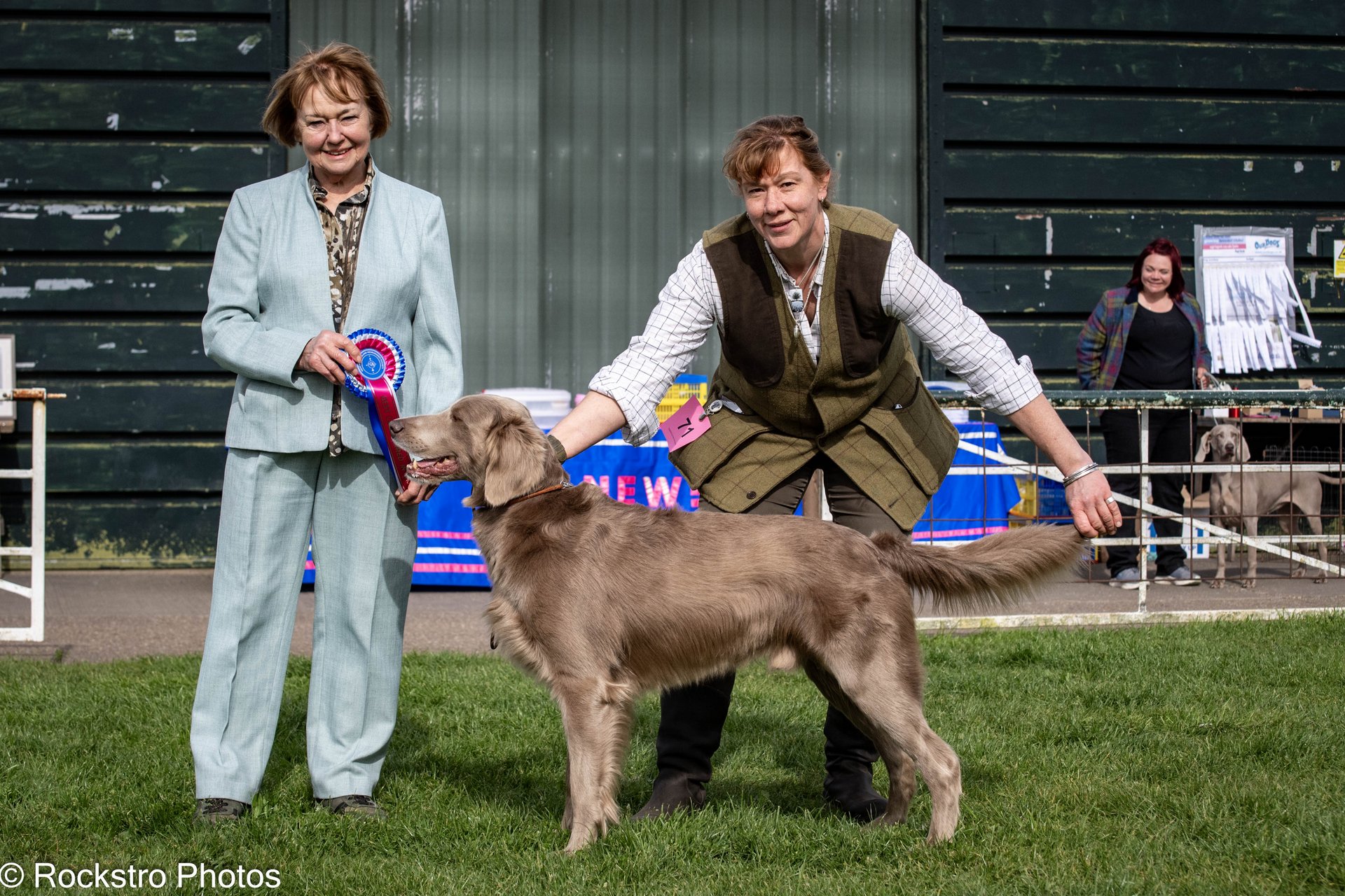 Championship Show Best Longhaired in Show