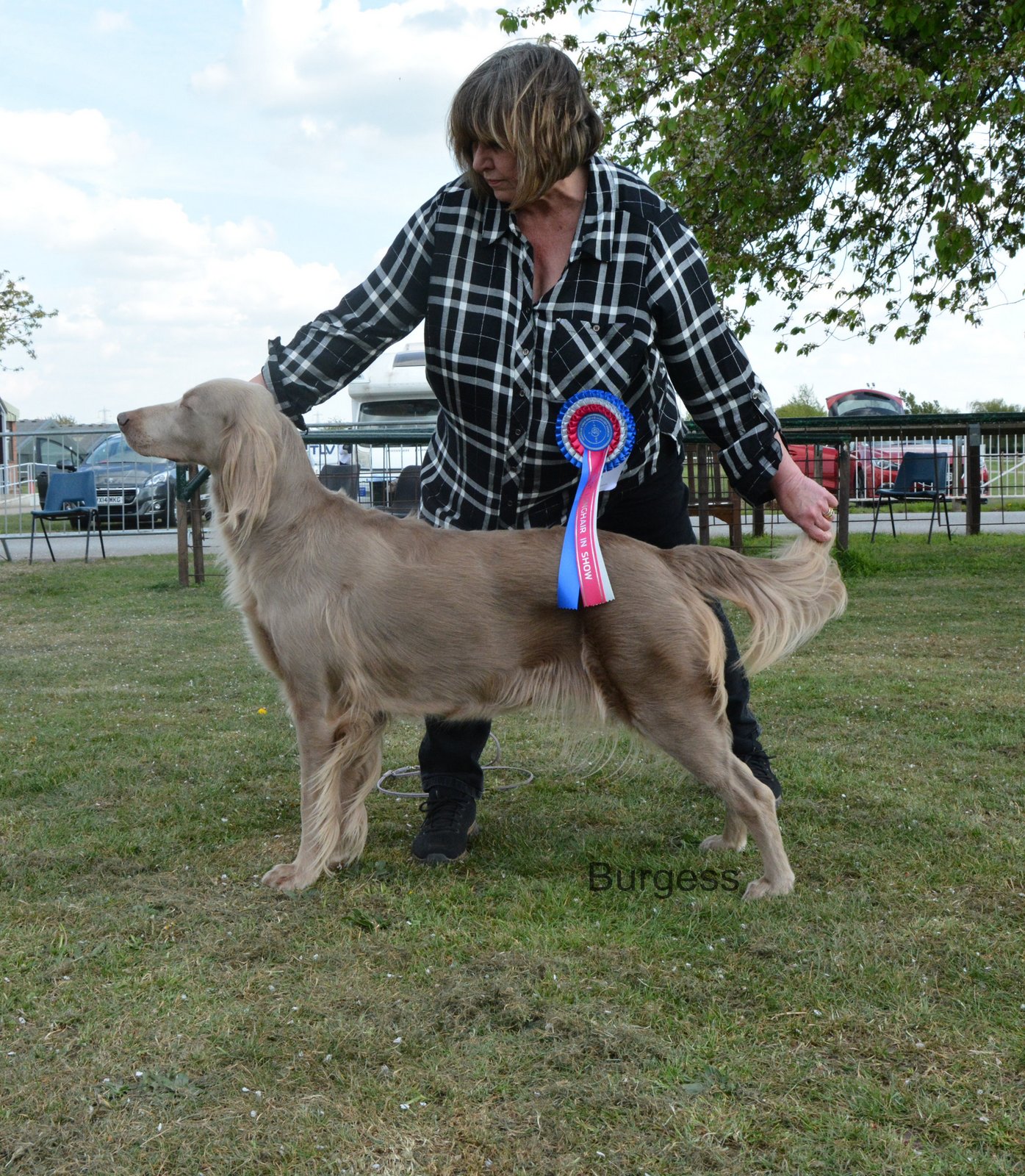 Best Longhair in Show